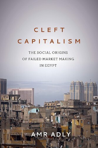 Cleft Capitalism The Social Origins Of Failed Market Making In Egypt Amr Adly
