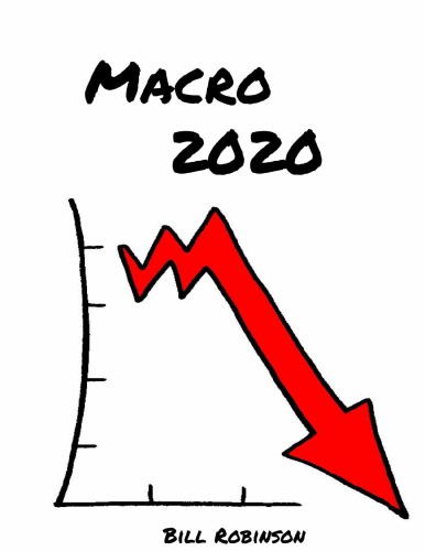 Macro 2020 William Bill Robinson