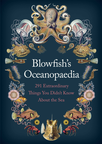 Blowfishs Oceanopedia 291 Extraordinary Things You Didnt Know About The Sea Blowfish