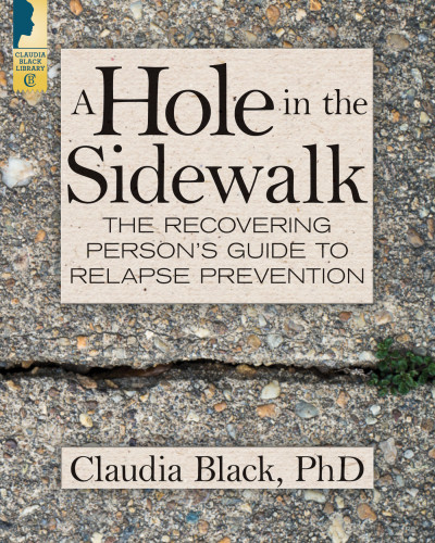 A Hole In The Sidewalk The Recovering Persons Guide To Relapse Prevention Black