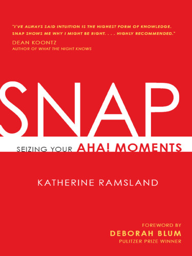Snap Seizing Your Aha Moments Blum Deborahramsland Katherine