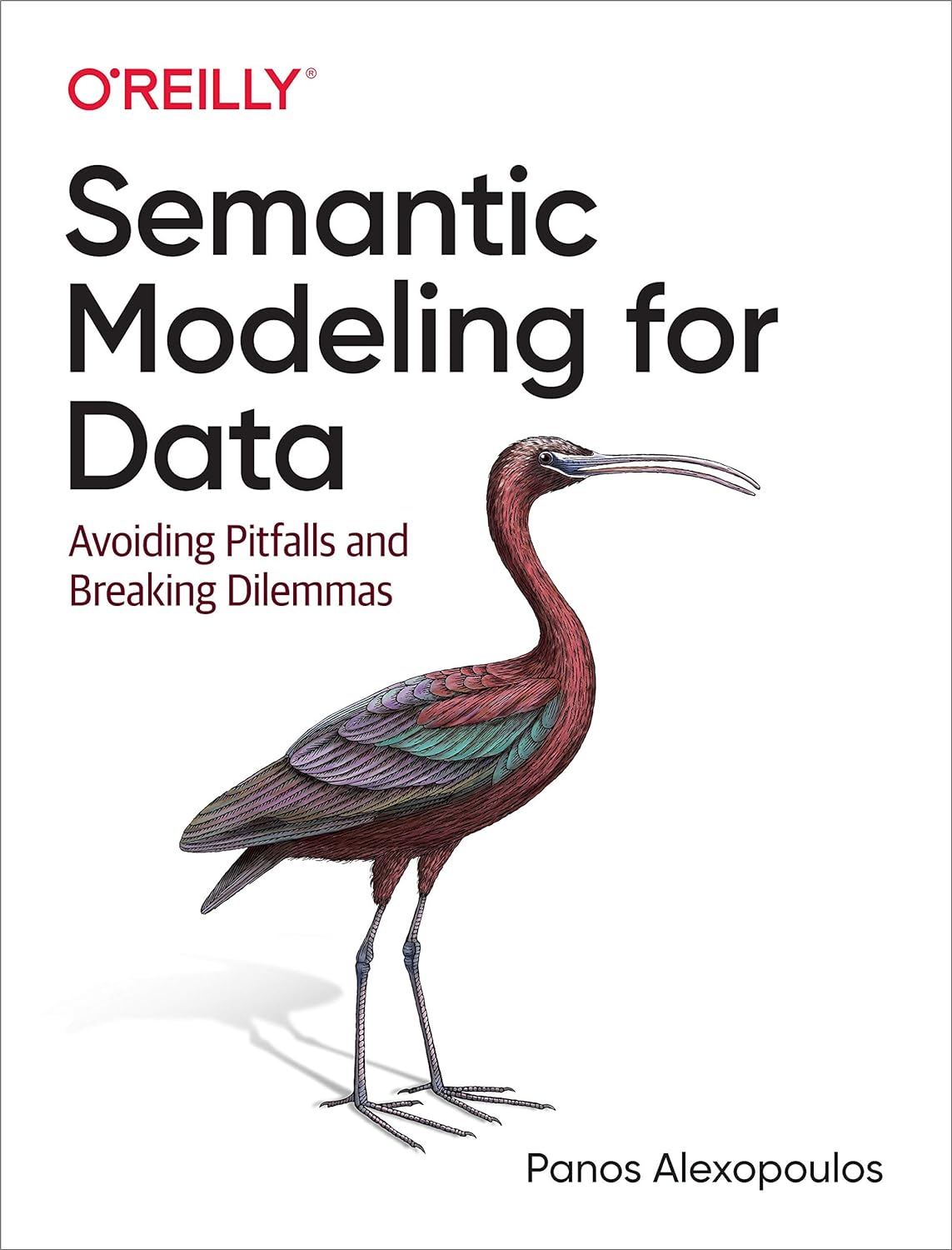 Semantic Modeling For Data Avoiding Pitfalls And Breaking Dilemmas 1st Edition Panos Alexopoulos