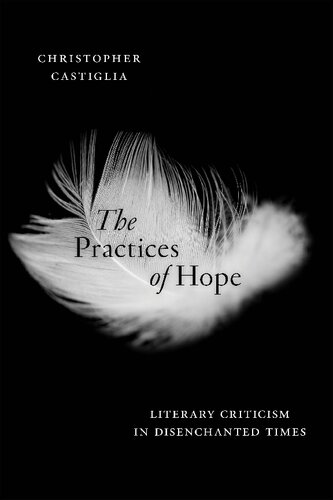 The Practices Of Hope Literary Criticism In Disenchanted Times Christopher Castiglia