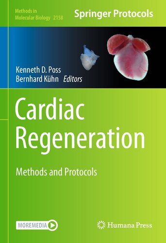 Cardiac Regeneration Methods And Protocols Methods In Molecular Biology 2158 1st Ed 2021 Kenneth D Poss Editor