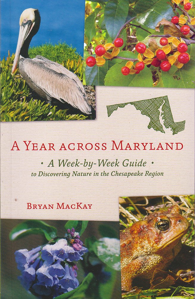 A Year Across Maryland A Weekbyweek Guide To Discovering Nature In The Chesapeake Region Bryan Mackay