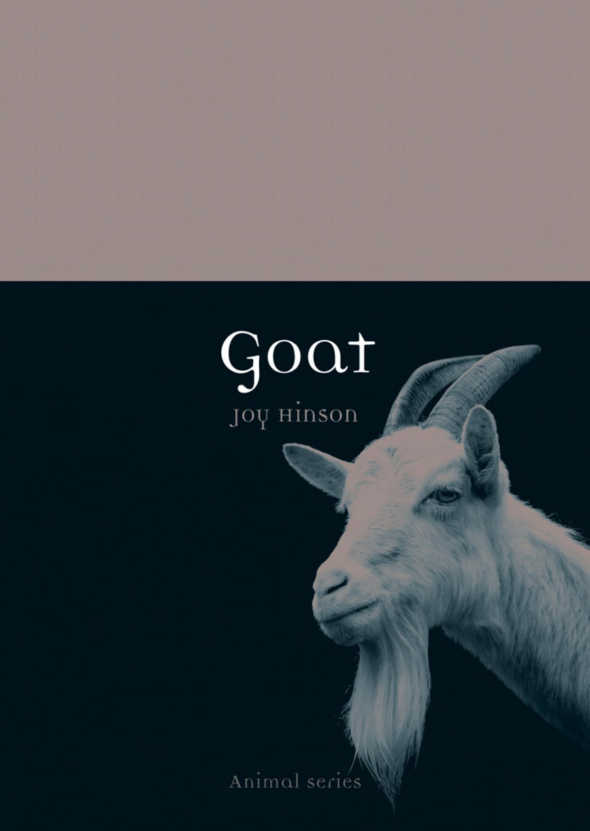Goat 1st Joy Hinson