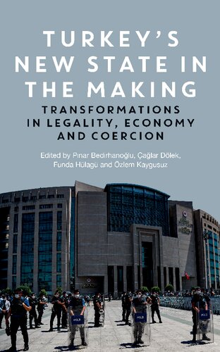 Turkeys New State In The Making Transformations In Legality Economy And Coercion Pnar Bedirhanolu