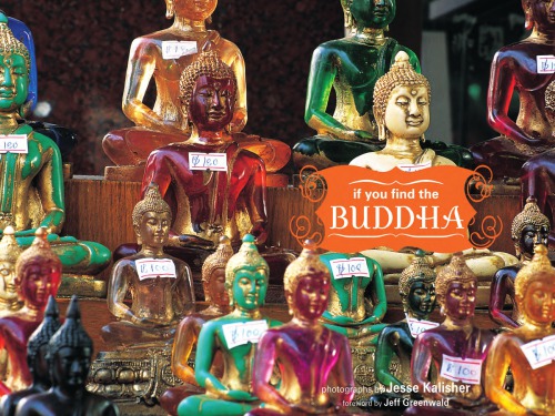 If You Find The Buddha Kalisher Jesse