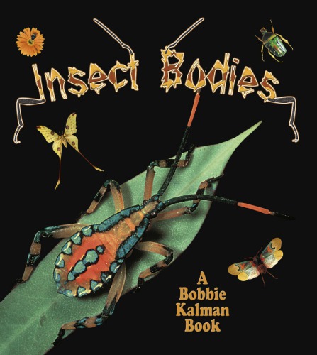 Insect Bodies Kalman Bobbiealoian Molly