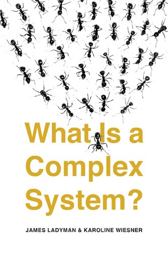 What Is A Complex System James Ladyman K Wiesner