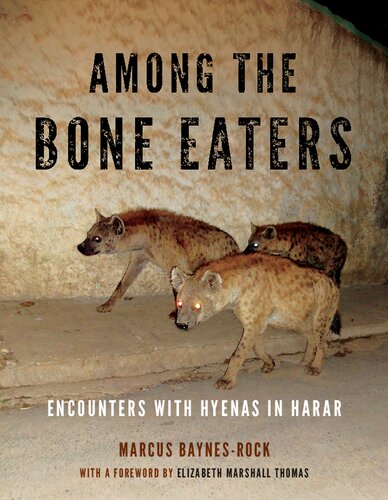 Among The Bone Eaters Encounters With Hyenas In Harar 1st Edition Marcus Baynesrock