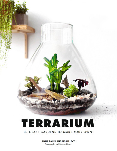 Terrarium 33 Glass Gardens To Make Your Own Anna Bauer Noam Levy