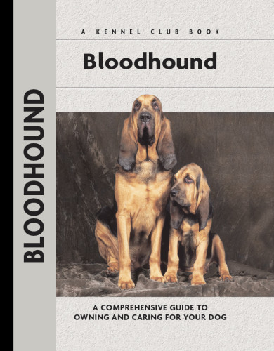 Bloodhound Nona Kilgore Bauer