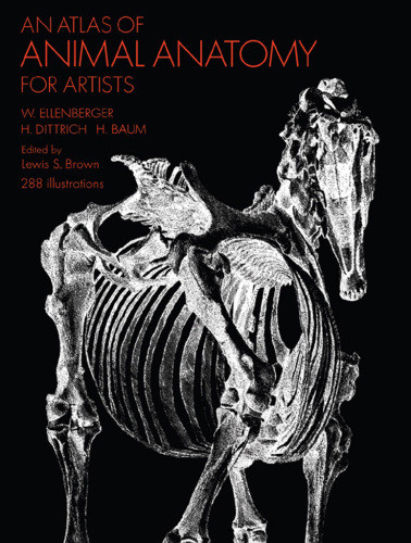 An Atlas Of Animal Anatomy For Artists 2nd Rev And Expanded Ed Ed By Lewis S Brown Baum