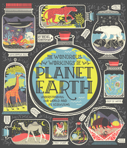 The Wondrous Workings Of Planet Earth First Edition Rachel Ignotofsky
