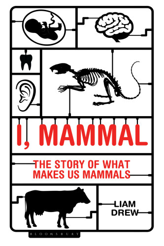 I Mammal The Story Of What Makes Us Mammals Drew Liam