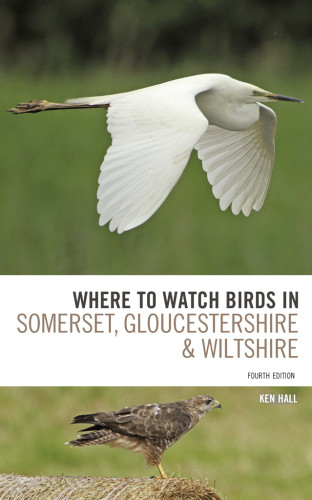 Where To Watch Birds In Somerset Gloucestershire And Wiltshire Ken Hall