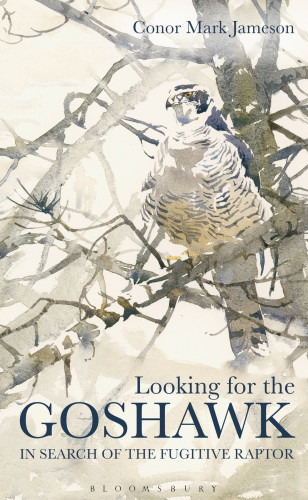 Looking For The Goshawk 1st Edition Jameson Conor Mark