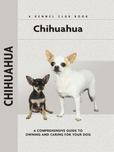Chihuahua Barbara J Andrews