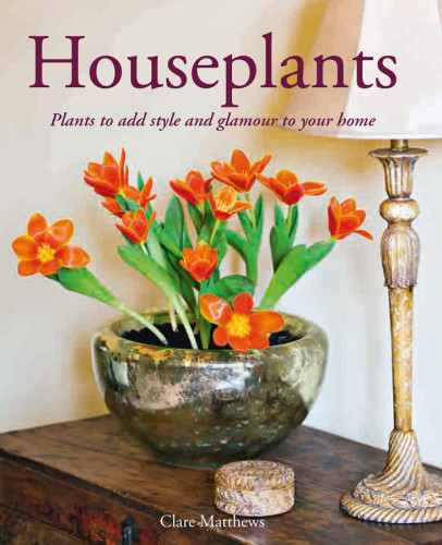 Houseplants Clare Matthews