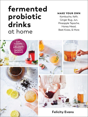 Fermented Probiotic Drinks At Home Make Your Own Kombucha Kefir Ginger Bug Jun Pineapple Tepache Honey Mead Beet Kvass More Felicity Evans