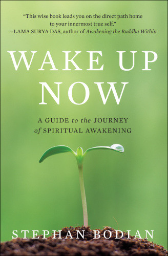 Wake Up Now A Guide To The Journey Of Spiritual Awakening 2nd Ed Bodian