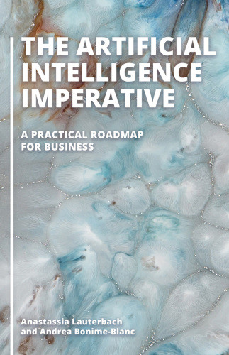 The Artificial Intelligence Imperative A Practical Roadmap For Business Bonimeblanc