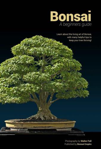 Bonsai A Beginners Guide Learn About The Living Art Of Bonsai With Many Helpful Tips To Keep Your Tree Thriving Bonsai Empirepall