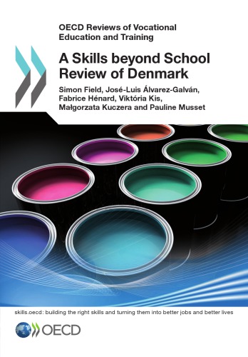 A Skills Beyond School Review Of Denmark Coll