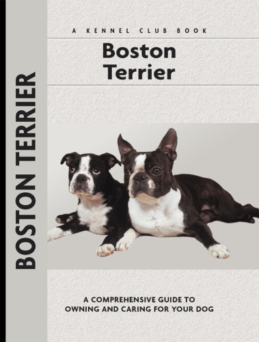 Boston Terrier Alma Bettencourt