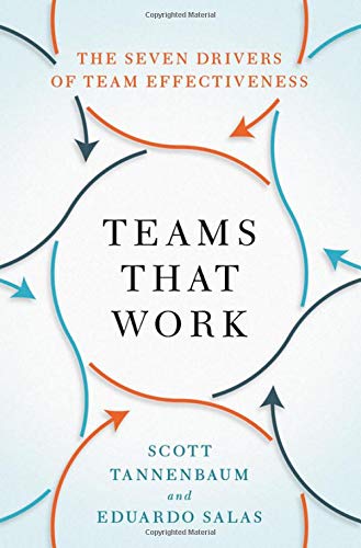 Teams That Work The Seven Drivers Of Team Effectiveness Illustrated Tannenbaum