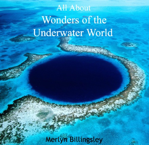 All About Wonders Of The Underwater World Billingsley Merlyn