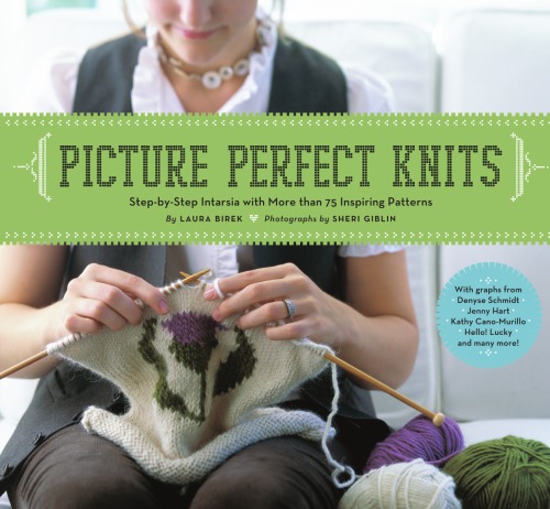 Picture Perfect Knits Birek Lauragiblin Sheri