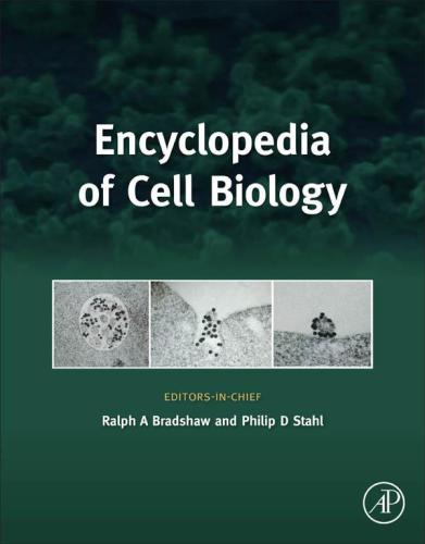 Encyclopedia Of Cell Biology 3 Functional Cell Biology Bradshaw