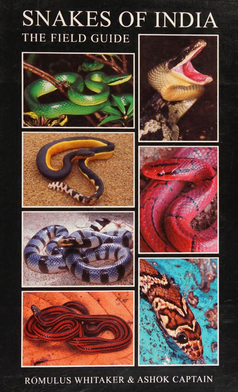 Snakes Of India The Field Guide Hard Cover First Reprint Romulus Whitaker