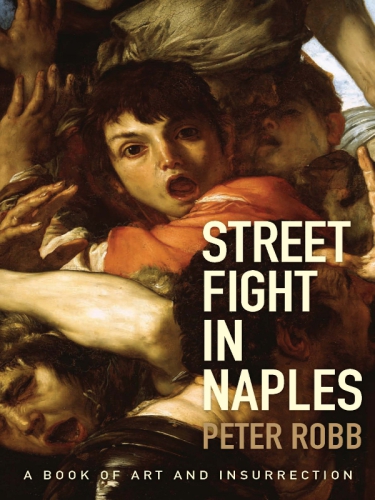 Street Fight In Naples A Citys Unseen History Peter Robb