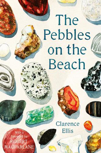 The Pebbles On The Beach Clarence Ellis