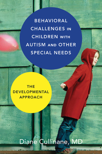 Behavioral Challenges In Children With Autism And Other Special Needs The Developmental Approach First Edition Cullinane