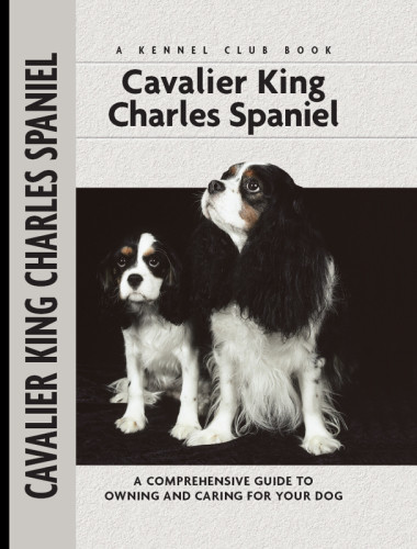 Cavalier King Charles Spaniel Cunliffe Juliette