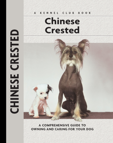Chinese Crested Juliette Cunliffe