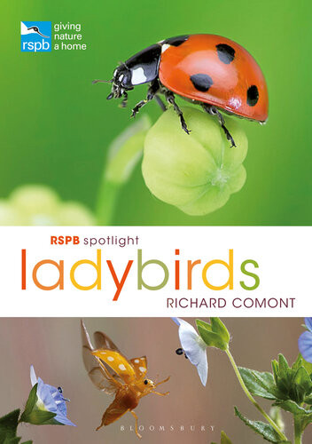 Rspb Spotlight Ladybirds Richard Comont