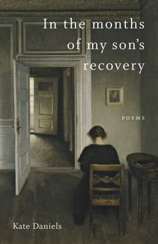 In The Months Of My Sons Recovery Poems Daniels Kate