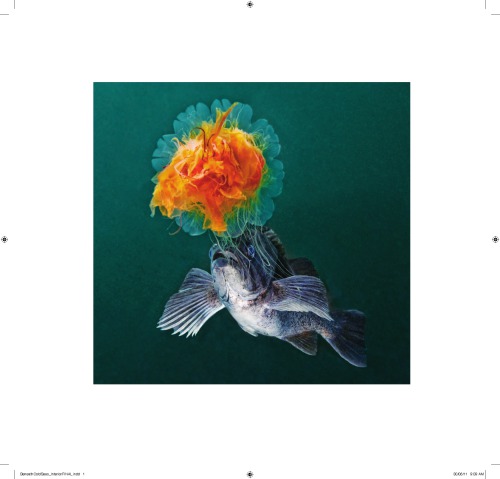 Beneath Cold Seas The Underwater Wilderness Of The Pacific Northwest David Suzuki Foundationhall