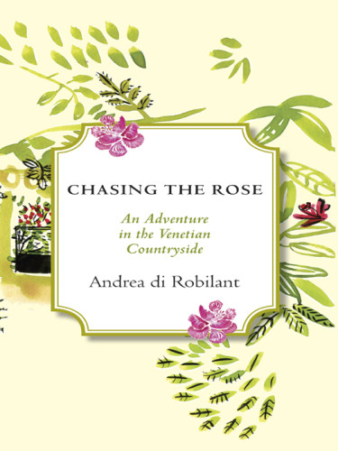 Chasing The Rose An Adventure In The Venetian Countryside Andrea Di Robilant