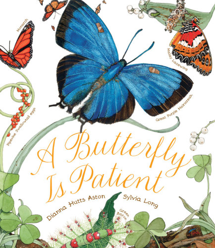 A Butterfly Is Patient Dianna Hutts Astonsylvia Long