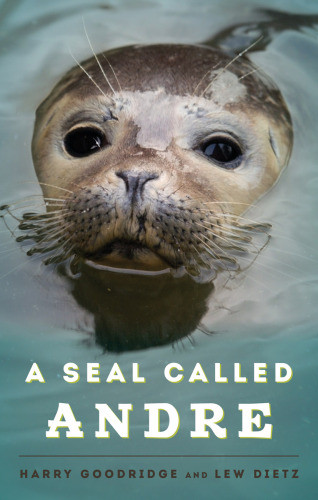 A Seal Called Andre The Two Worlds Of A Maine Harbor Seal Dietz
