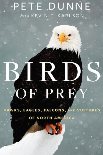 Birds Of Prey Hawks Eagles Falcons And Vultures Of North America 1st Edition Pete Dunne