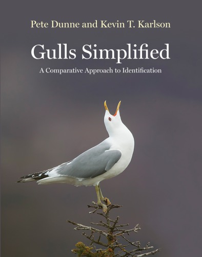Gulls Simplified A Comparative Approach To Identification Dunne