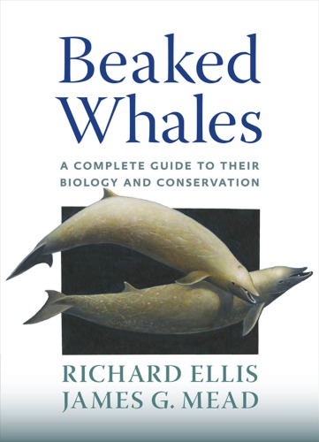 Beaked Whales A Complete Guide To Their Biology And Conservation Ellis