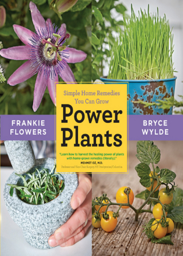 Power Plants Frankie Flowers Bryce Wylde